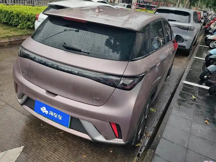 BYD Dolphin 2024 Glory Edition 420km Freedom Edition фото 3