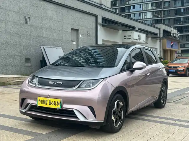 BYD Dolphin 405km, Стиль