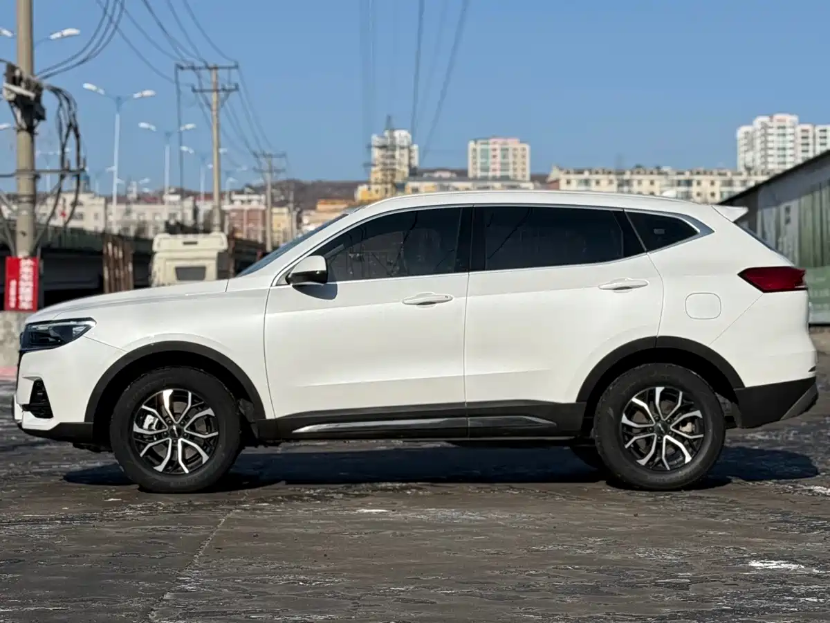 Haval H6 2023 National Trend Edition 1.5T Automatic Urban фото 3