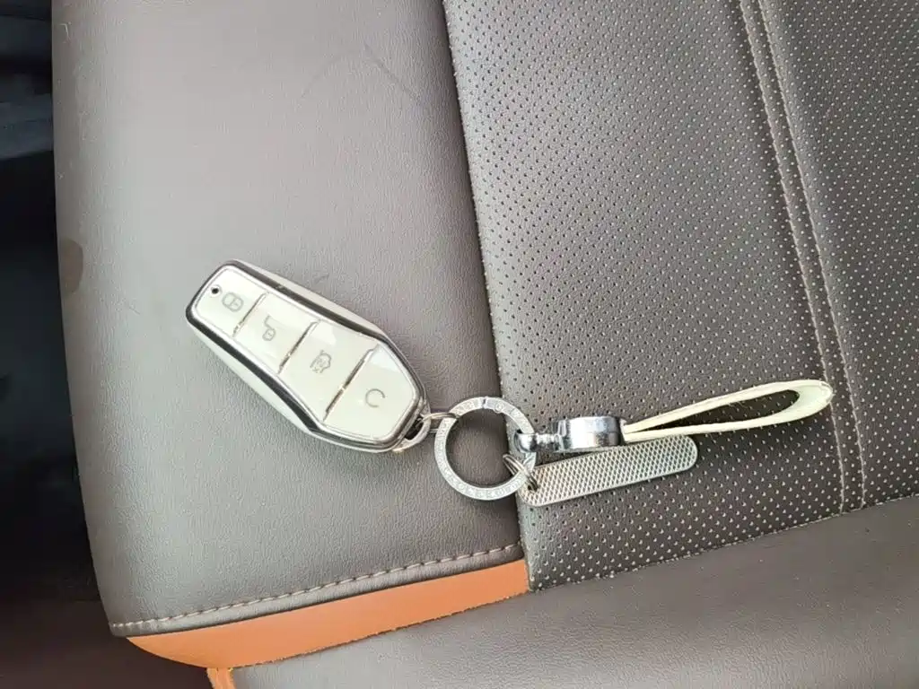 BYD e2 2021 2021 Luxury Edition