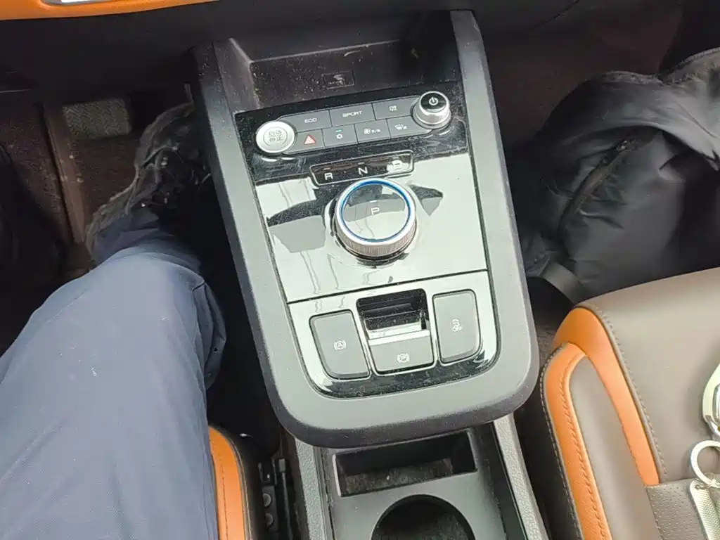 BYD e2 2021 2021 Luxury Edition