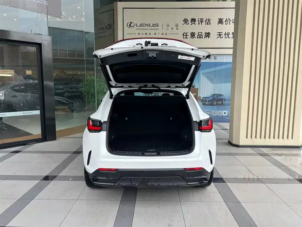 Lexus NX New Energy 2022 2022 400h+ Joy Edition