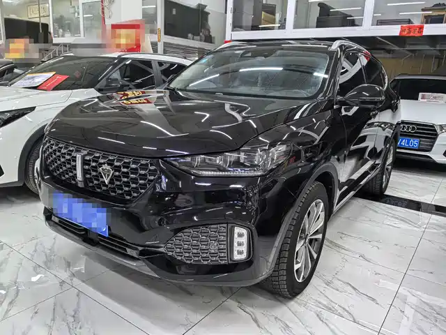 WEI PAI WEI BRAND VV6