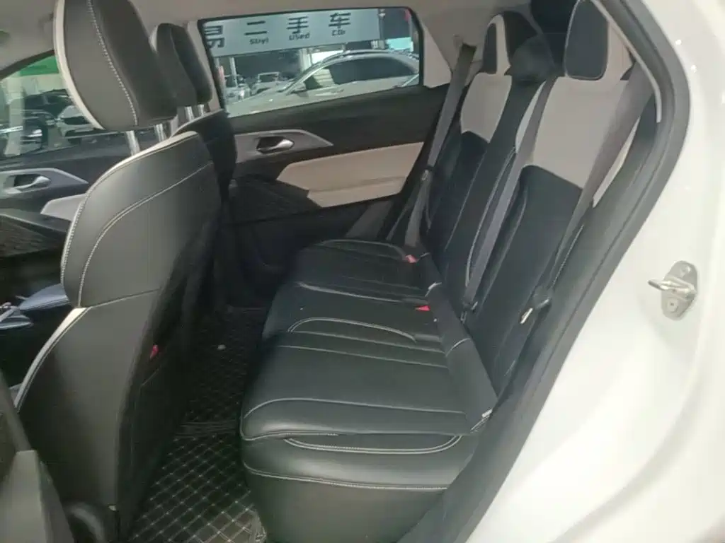 Geely Geometry E Firefly 2024 2024 401km Starlight