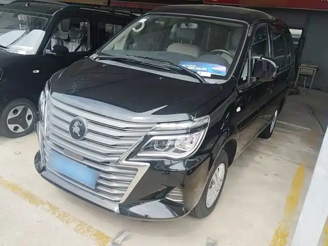 Dongfeng Fengxing Lingzhi 2024