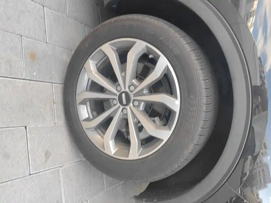 WEY VV6 2019 2020 2.0T 2WD Smart Protection+