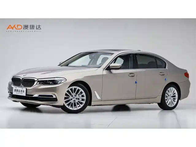 BMW 5 Series 2020 530Li Leading Luxury Package