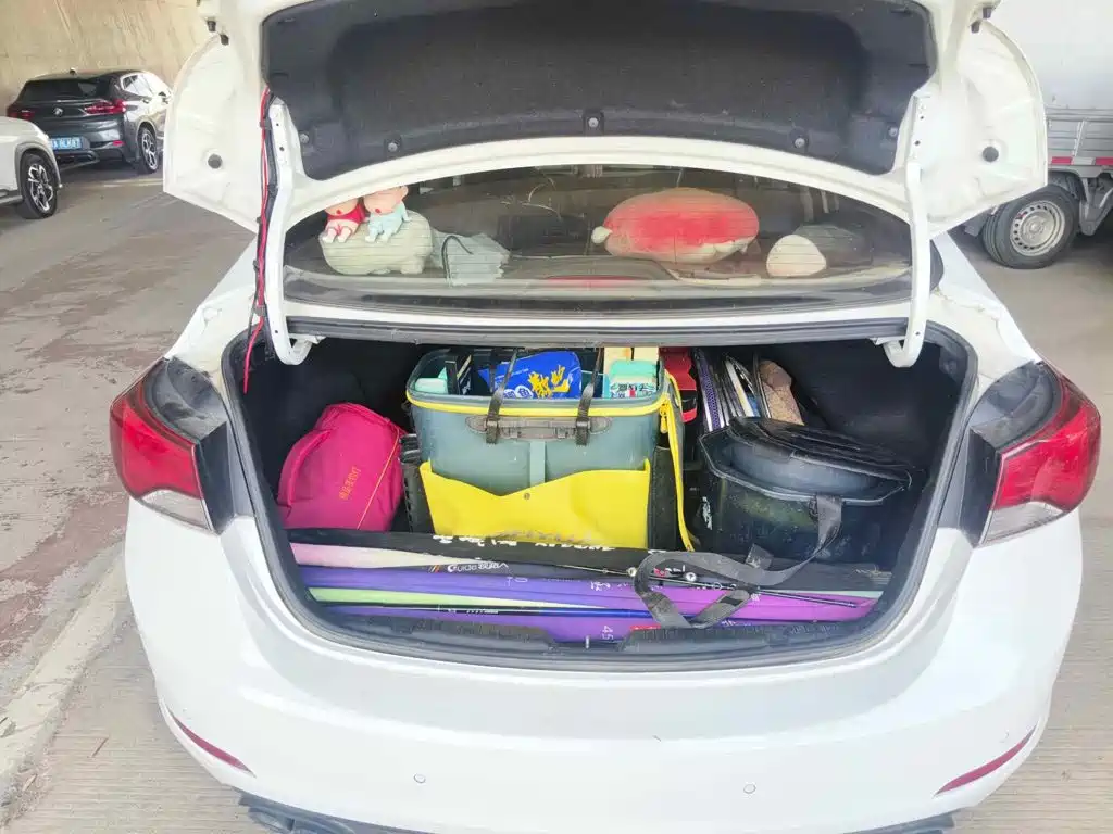 Photo 13 - Hyundai Langdong