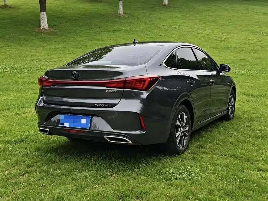 Фото 3 - Changan Eado