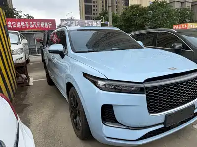 Li Auto ONE
