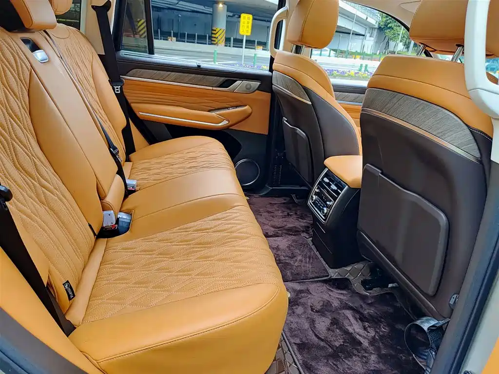 Tank 500 2023 3.0T Business Edition (5-seater) фото 11