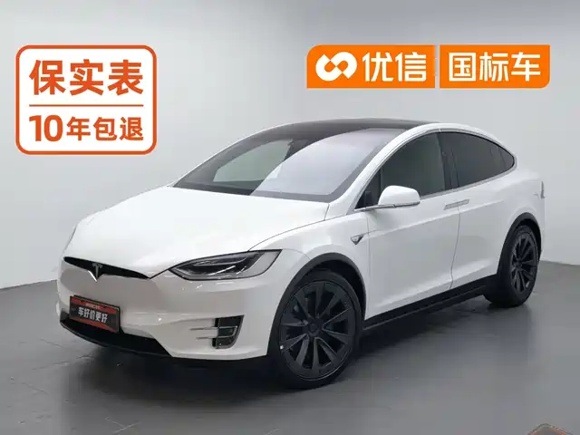 Tesla Model X 2017 Model X 100D Long Range — фото 1