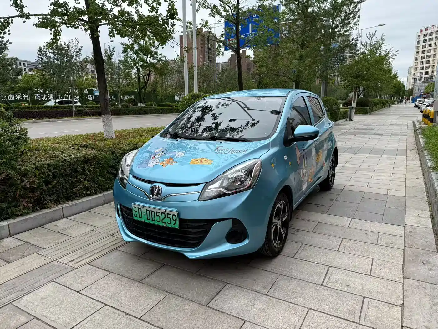 Changan Benben E-Star 2021 2021 National Edition Delight (Ternary Lithium)