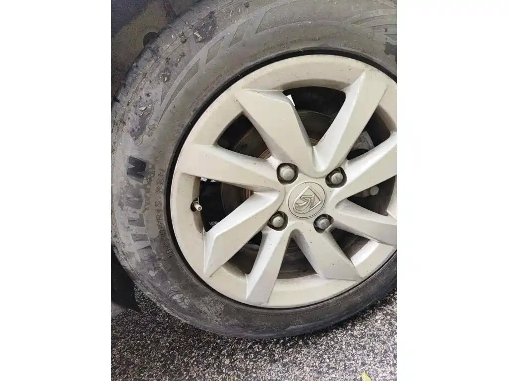 Baojun 310W 2019 2017 1.5L Manual Comfort China VI