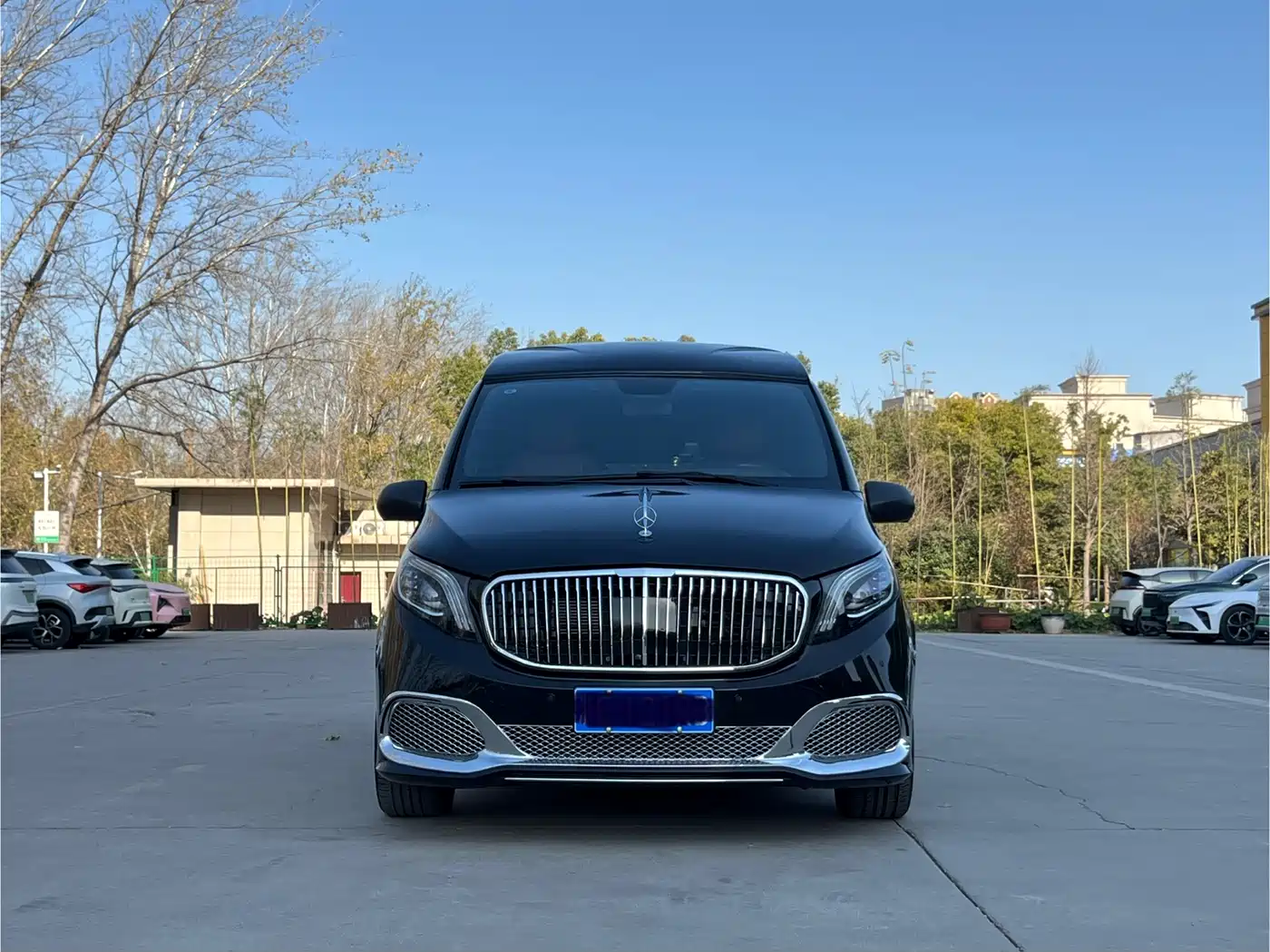 Mercedes-Benz Vito 2016 2.0T Elite 9-Seater фото 3