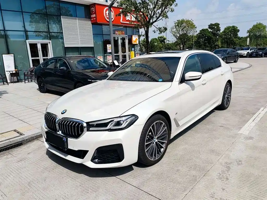  BMW BMW 5 Series 2021 530Li Leading M Sport Package