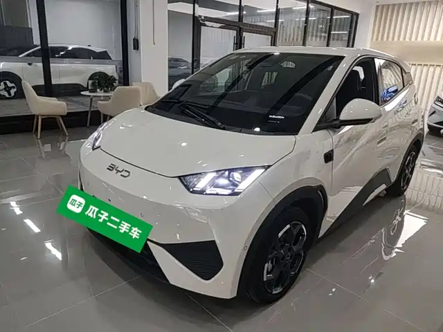 BYD Seagull Система помощи водителю, 305km, Свобода
