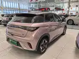 Фото 7 - BYD Dolphin