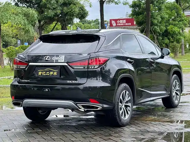 Lexus RX 2020 Facelift 300 2WD Elite Edition — фото 5