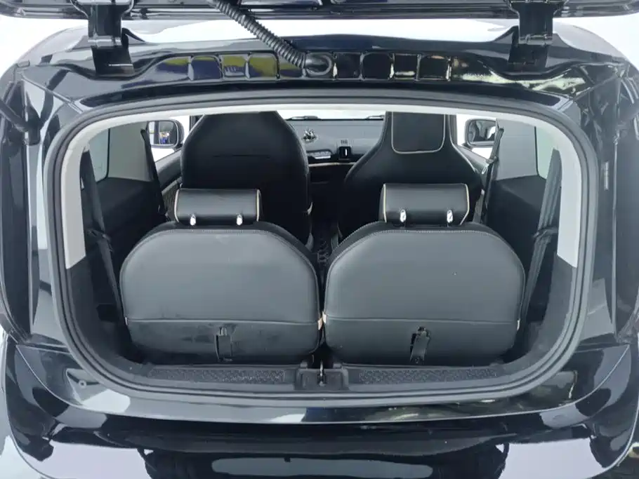 Baojun KiWi EV 2021 2021 Artist LFP