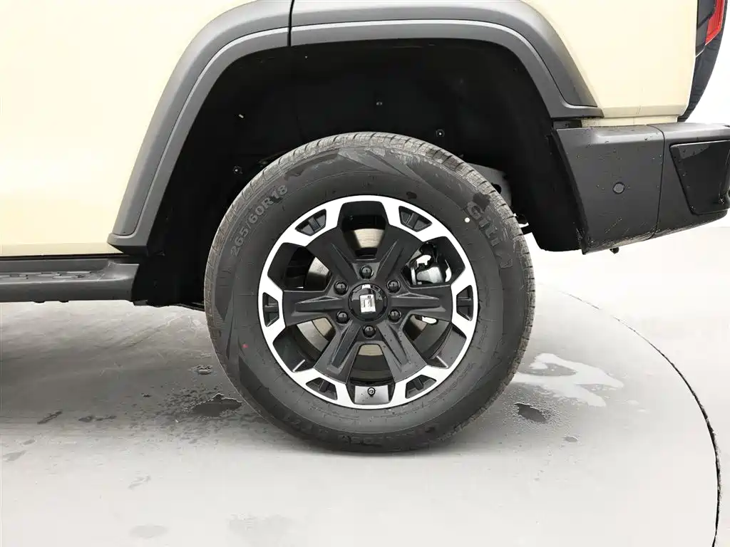 TANK TANK 300 NEW ENERGY