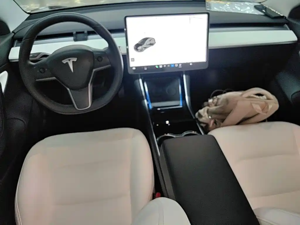 Фото 10 - Tesla Model 3 (Import)