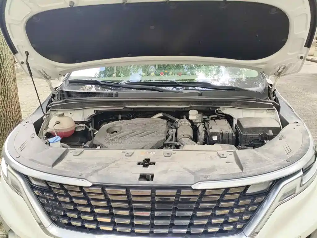 Kia Carnival 2023 2021 2.0T Luxury Edition