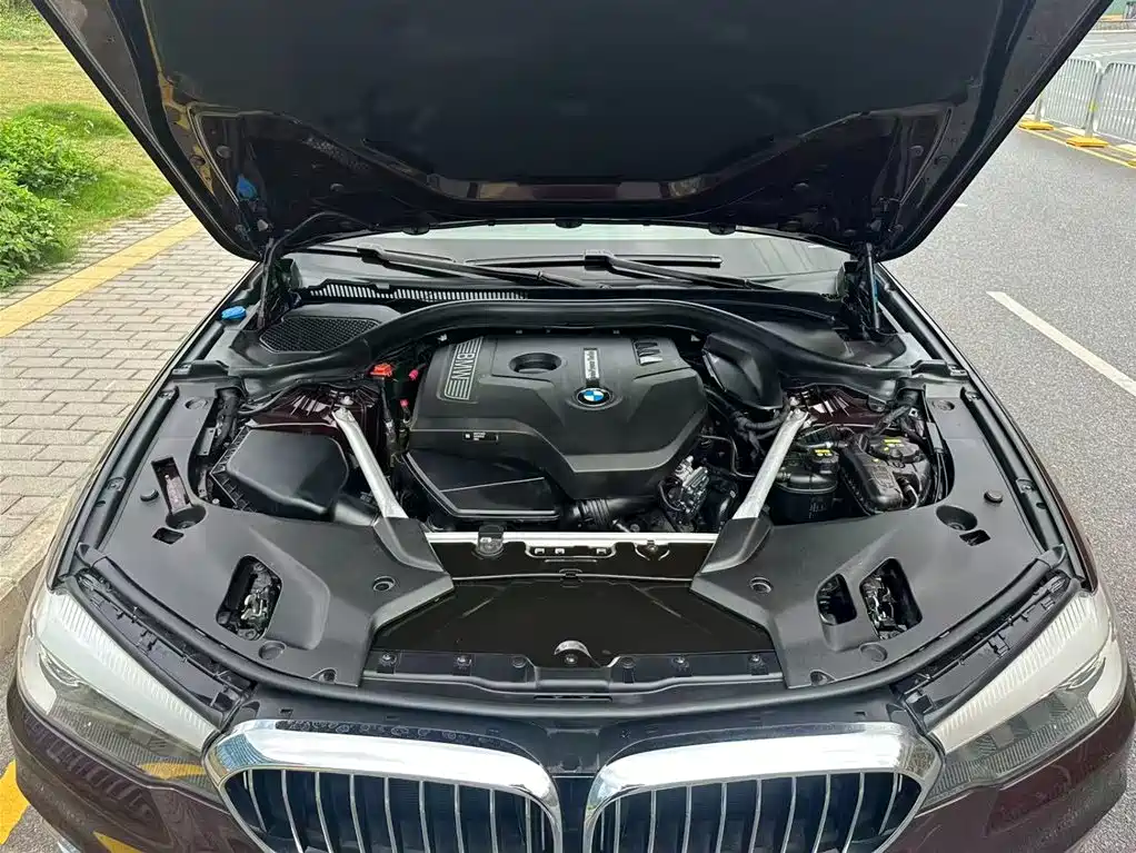 BMW 5 Series 2018 Facelift 530Li Leading Luxury Package фото 14