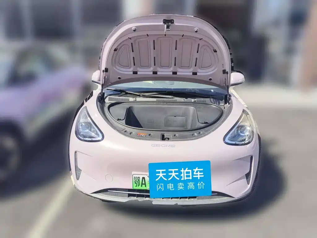Geely Galaxy Starry Wish 2026 2026 Edition 310km Youth Version