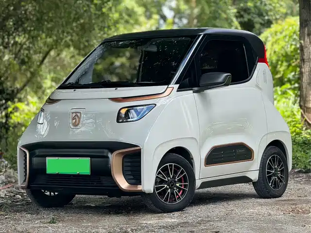  Baojun Baojun E200 2020 305KM Smart Edition