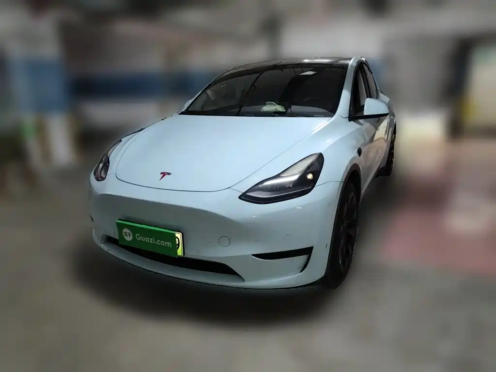 Tesla Model Y 2022 Rear-Wheel Drive Version