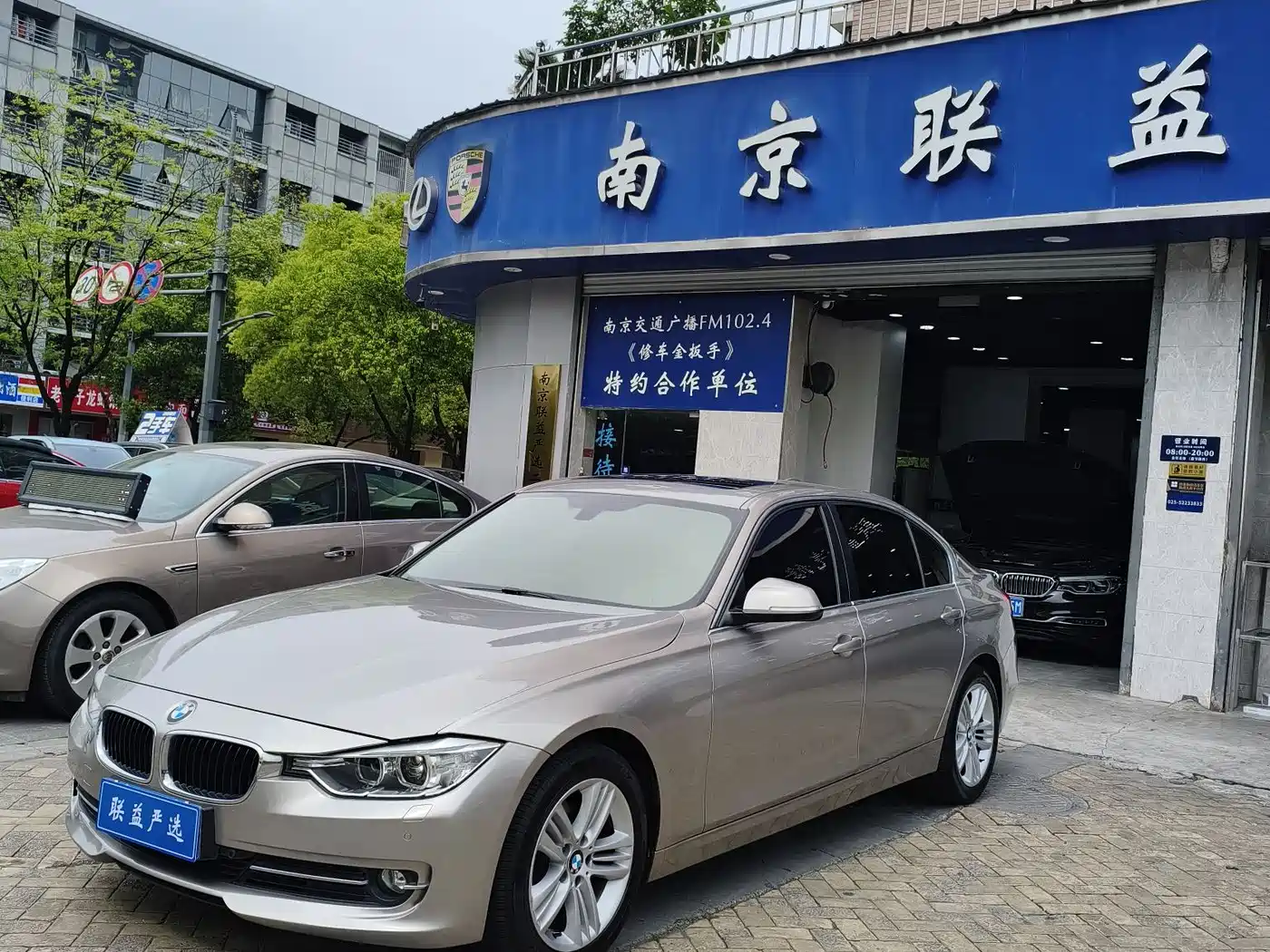 BMW 3 Series 2013 320Li Style Design Package фото 3