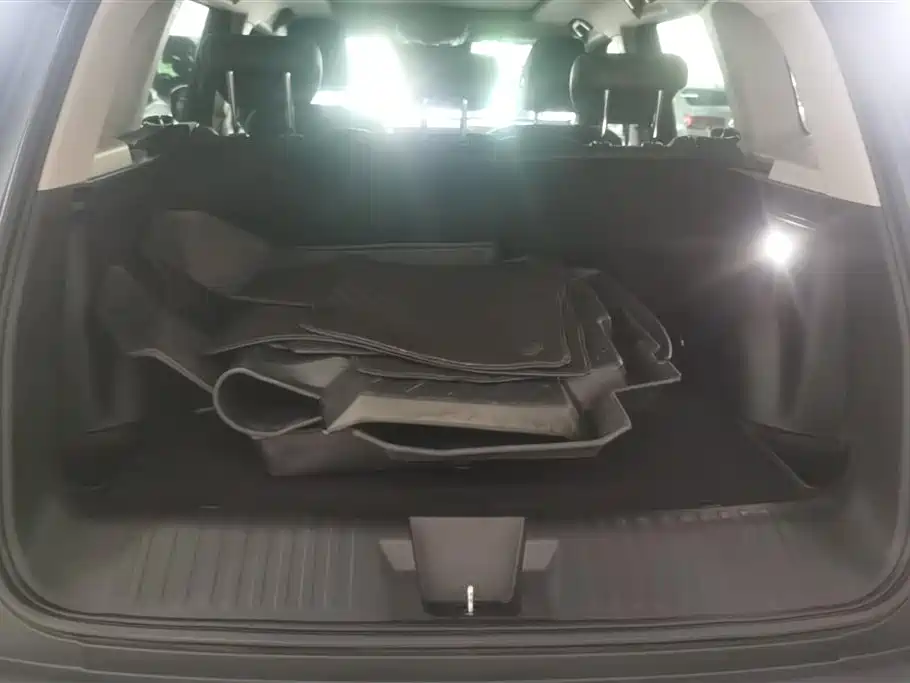 Haval Big Dog 2021 1.5T DCT 2WD Labrador Edition фото 4