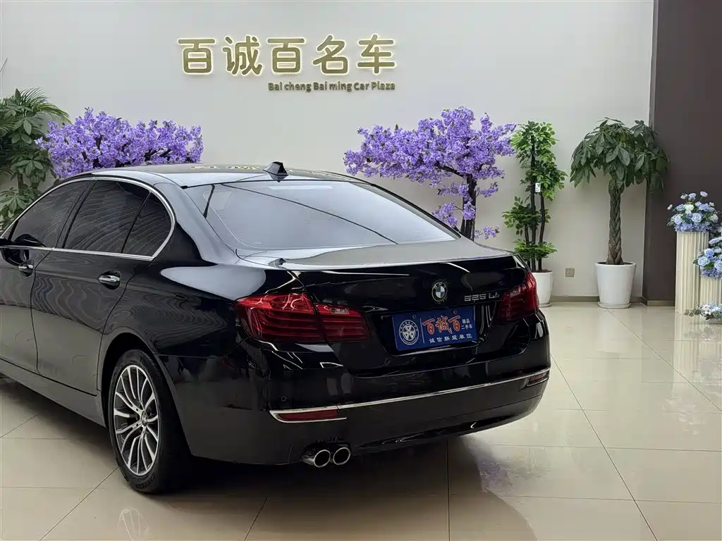 BMW 5 Series 2014 525Li Luxury Design Package фото 9