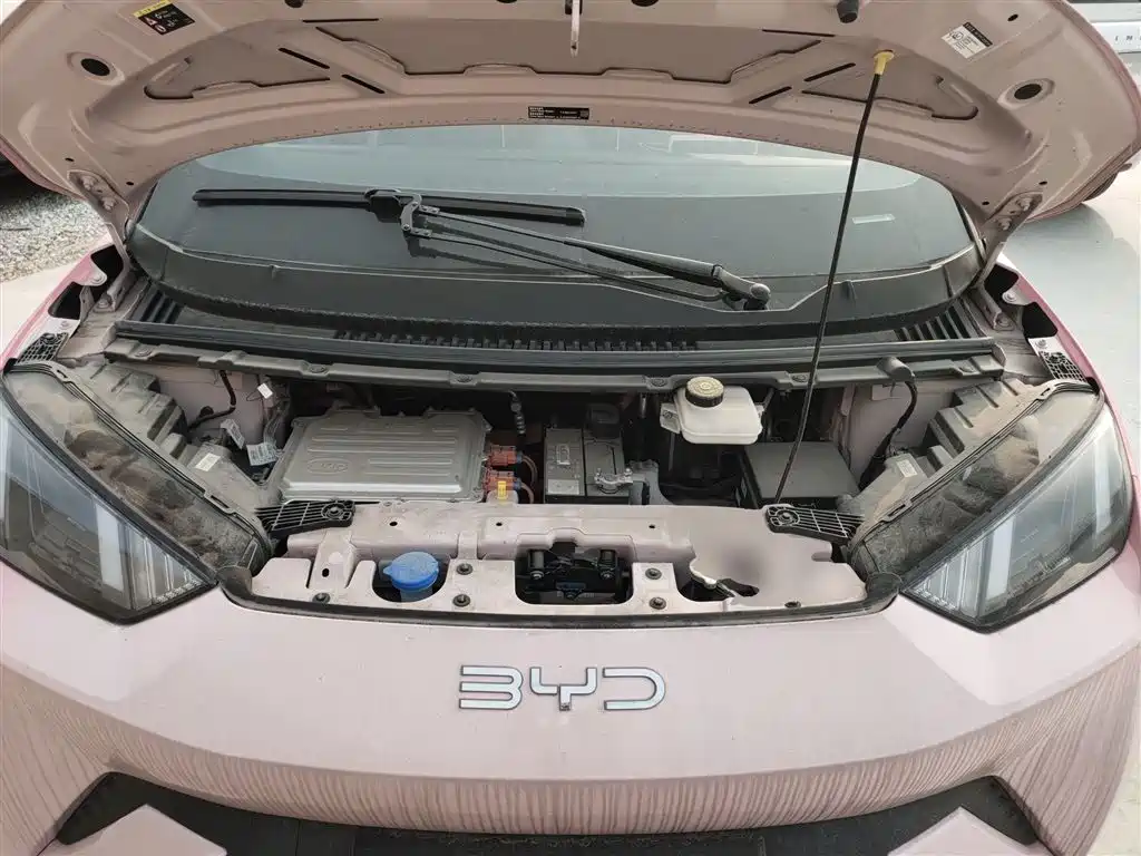 BYD Seagull 2024 Glory Edition 305km Freedom Edition фото 20
