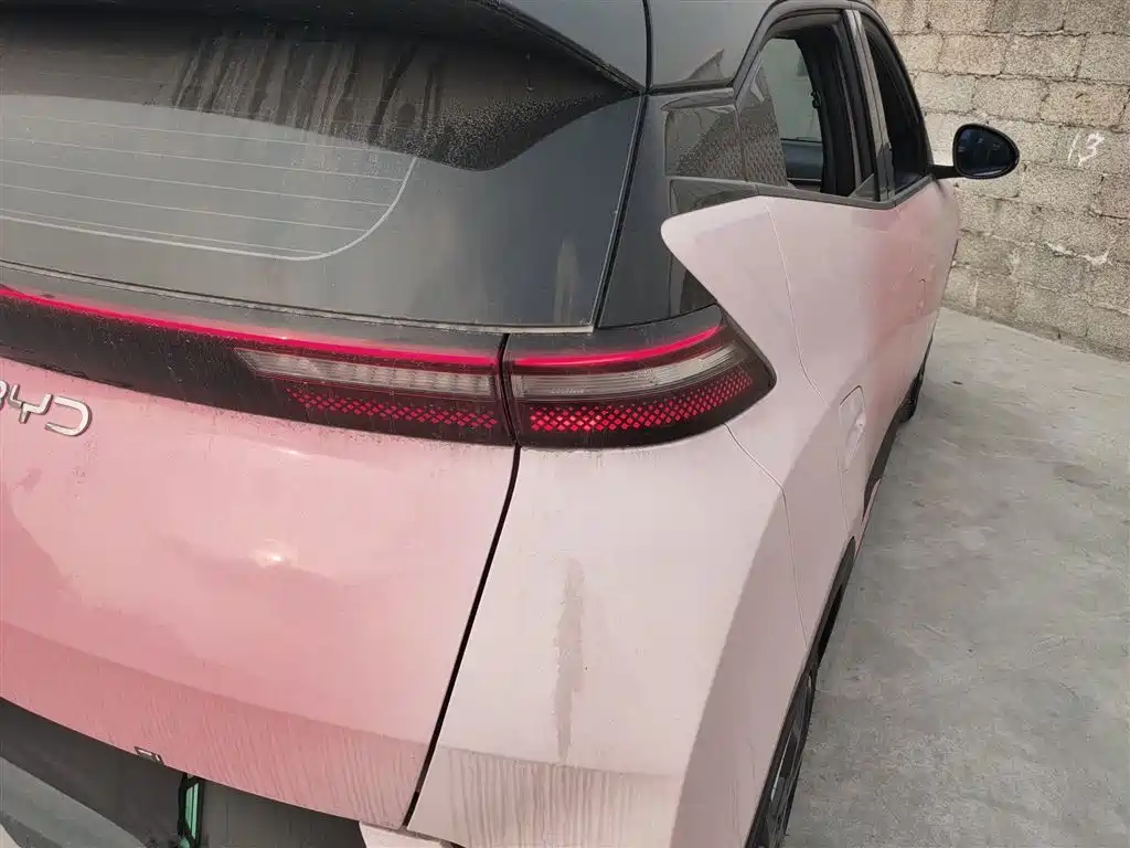 BYD Seagull 2024 Glory Edition 305km Freedom Edition фото 8