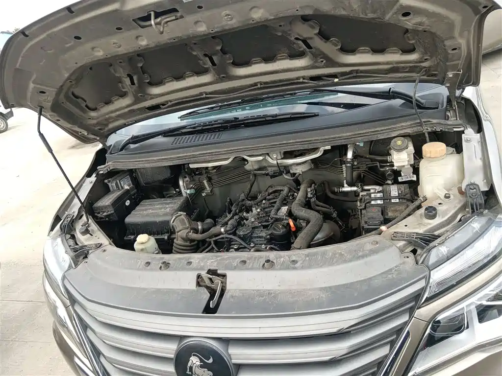 DONGFENG POPULAR LINGZHI