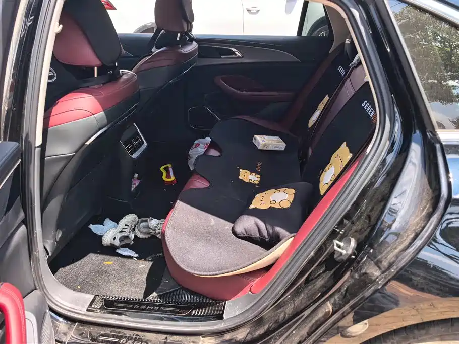 Hongqi H5 2024 2.0T Automatic Smart Connect Flag Smooth Edition фото 11