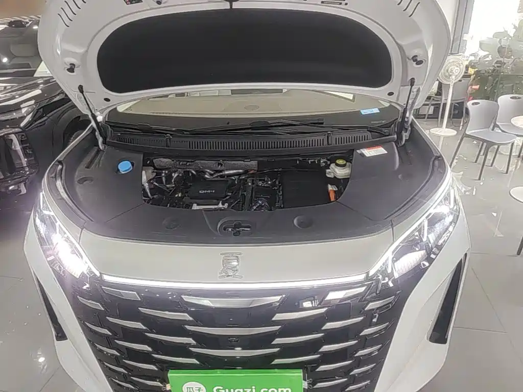 BYD Xia 2025 2025 DM-i 1.5T 180km Surpass Edition