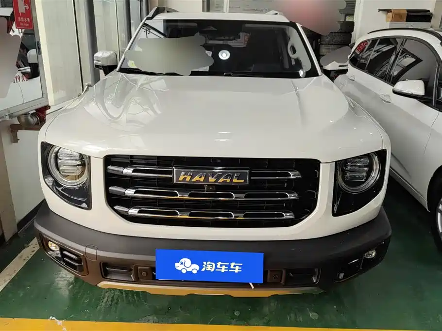 Haval Big Dog 2021 2.0T DCT 4WD Chinese Rural Dog Edition фото 2