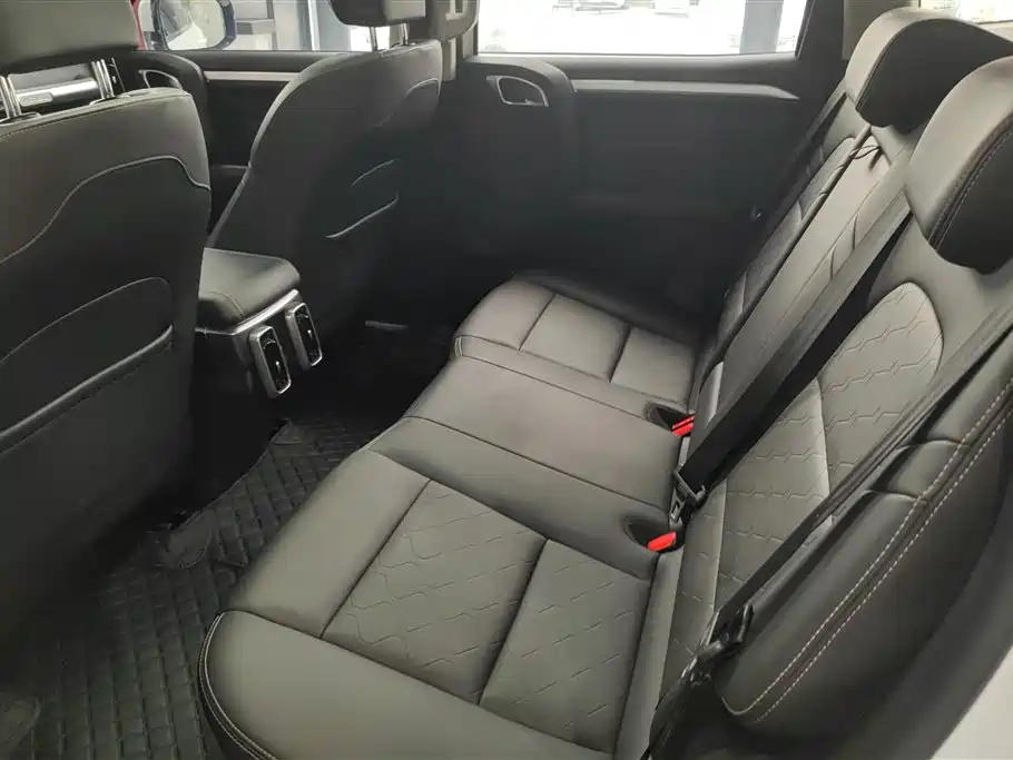 Haval Big Dog 2021 2.0T DCT 4WD Chinese Rural Dog Edition фото 11