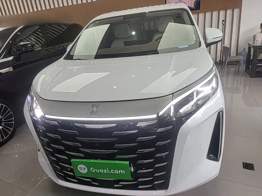 BYD Xia 2025 2025 DM-i 1.5T 180km Surpass Edition