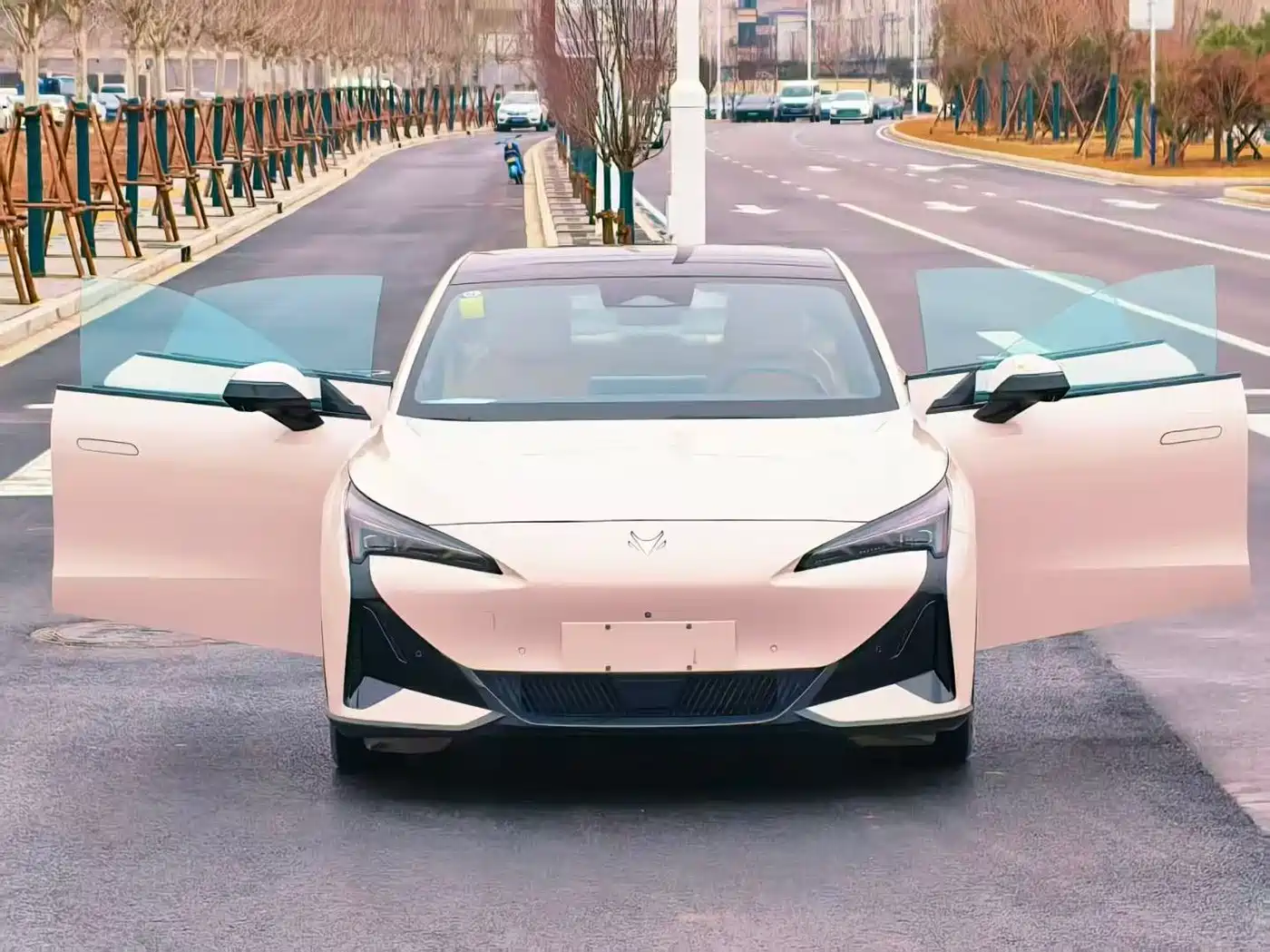 ARCFOX EXTREME FOX POLAR FOX ALPHA S5