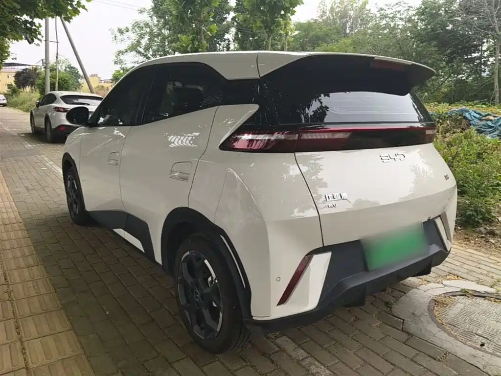 BYD Seagull 2024 Glory Edition 405km Soaring Edition фото 23