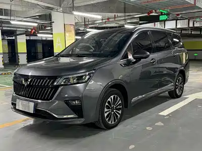 Wuling Jiachen