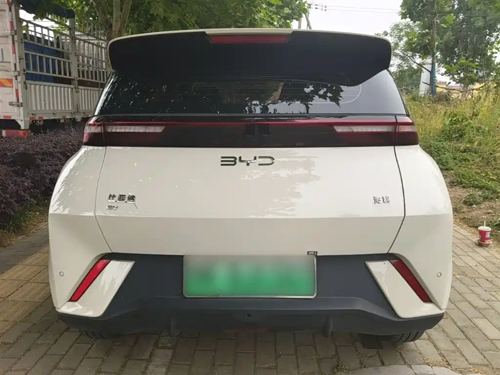 BYD Seagull 2024 Glory Edition 405km Soaring Edition фото 4