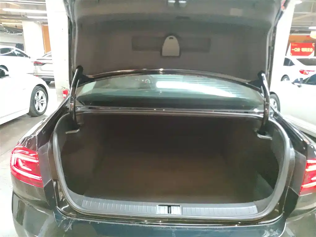 Volkswagen Magotan 2020 280TSI DSG Comfort фото 9