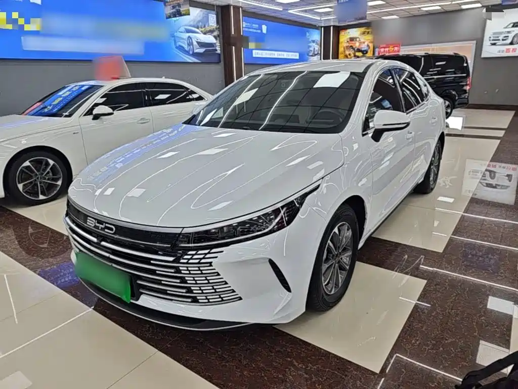 Фото 1 - BYD Destroyer 05