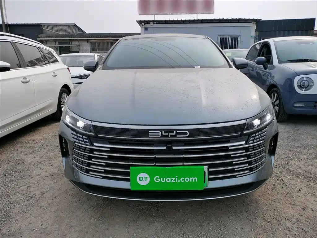 BYD Destroyer 05 2023 Champion Edition DM-i 55KM Luxury фото 3