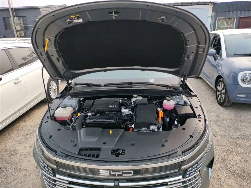 BYD Destroyer 05 2023 Champion Edition DM-i 55KM Luxury фото 20
